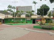 Mulheres de Palmeira dos Índios terão aplicativo para denunciar violência doméstica