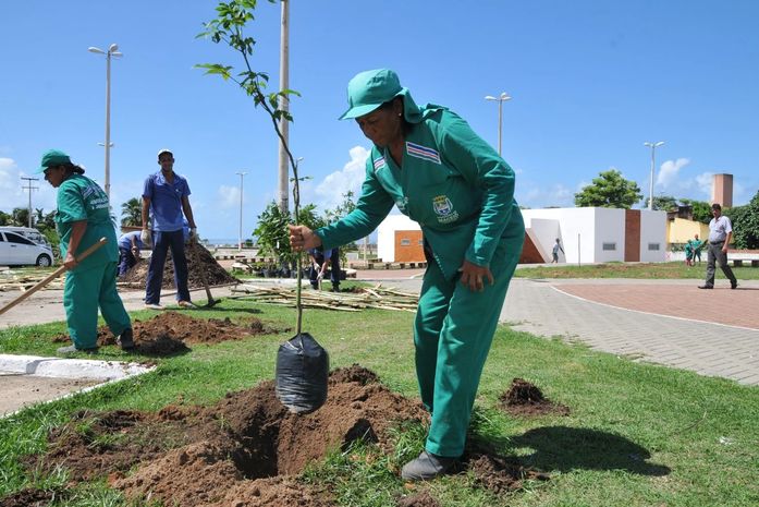 Confira como solicitar serviços de arborização à Prefeitura