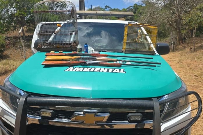Seis aves silvestres são resgatadas e arsenal de caça é apreendido durante operação
