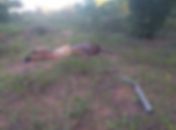 Corpo foi encontrado na zona rural de Arapiraca.