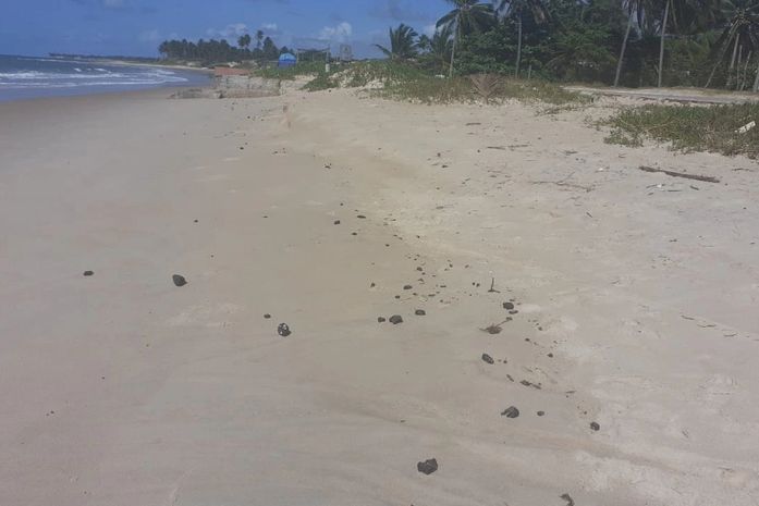 Fragmentos de óleo são encontrados em praia de Coruripe