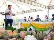 Emater lança PAA em Arapiraca nesta quarta-feira (21)