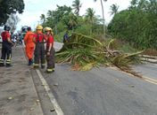 Parte da rodovia AL-110 é parcialmente liberado em Arapiraca