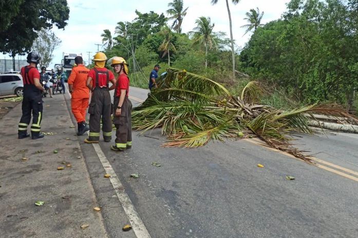 Parte da rodovia AL-110 é parcialmente liberado em Arapiraca
