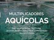 Ministério da Pesca e Aquicultura divulga curso de capacitação gratuito