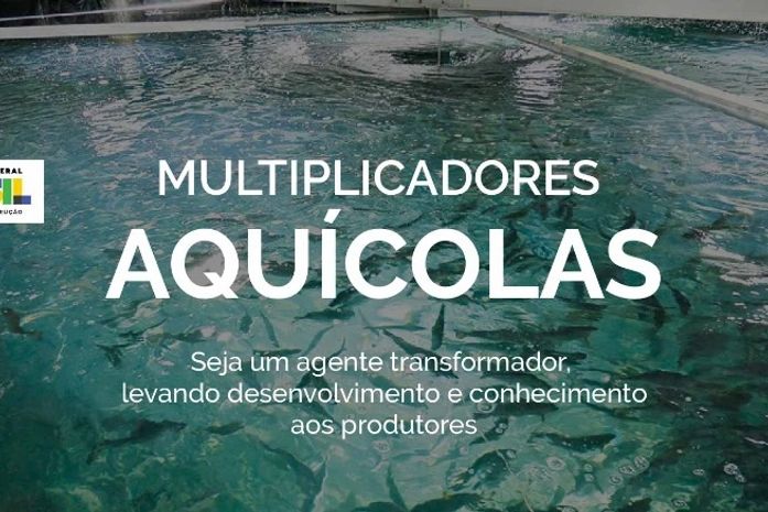 Ministério da Pesca e Aquicultura divulga curso de capacitação gratuito