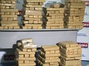 Reeducando era "dono" dos 150 kg de maconha enterrada em matagal, afirma delegado