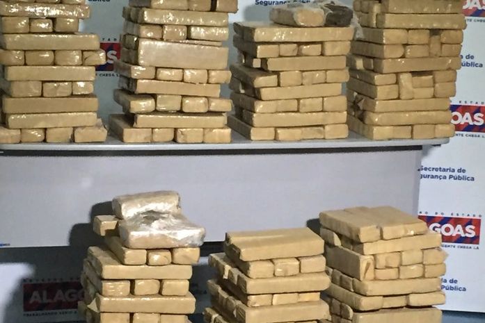 Reeducando era "dono" dos 150 kg de maconha enterrada em matagal, afirma delegado