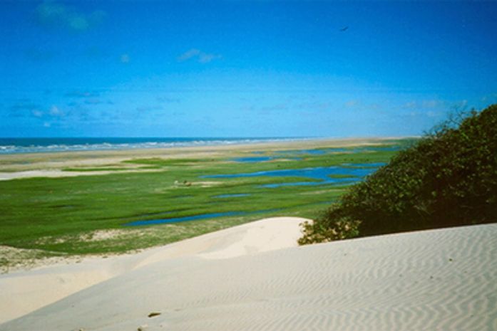 Réveillon: MPF recomenda que prefeitura não realize evento na Área de Proteção Ambiental de Piaçabuçu