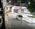 Suspeito de executar homem em praça de Cruz das Almas é preso pela Polícia Militar


