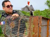 Em 6 meses, Batalhão Ambiental resgatou ou apreendeu mais de 5 mil animais