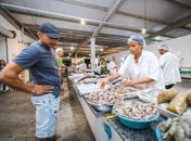 Confira horário de funcionamento dos mercados públicos durante a Semana Santa