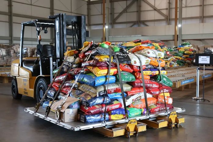 Enchentes no RS: Avião da FAB leva 20 toneladas de ração para pets