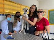 Prefeitura convoca moradores para mutirão de castração de gatas e cadelas no no bairro Baixa Grande