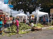 Venda de milho verde toma conta das ruas de Arapiraca