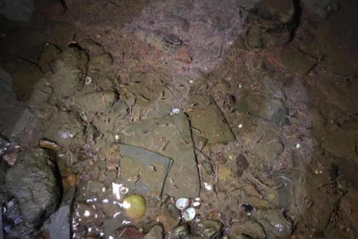 Grande quantidade de vermes foram encontrados na água 