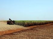 Governo lança plano de promoção da agricultura de baixo carbono