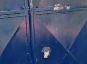 Polícia identifica suspeitos de ataque a tiros contra escola indígena em Palmeira dos Índios