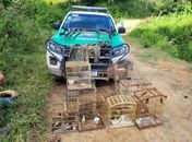 BPA, 6º BPM e 2ª CPM/I registram apreensões em três municípios do Norte de Alagoas