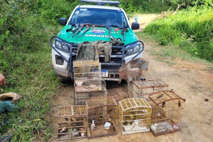 BPA, 6º BPM e 2ª CPM/I registram apreensões em três municípios do Norte de Alagoas