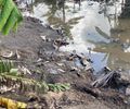 Carcaças no rio e efluentes sem tratamento: operação flagra irregularidades em abatedouro