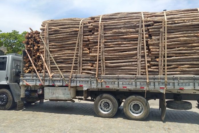 PRF apreende mais de 68 m³ de madeira nativa irregular em Maribondo