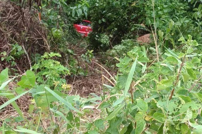 Carro caiu em uma ribanceira na AL-101