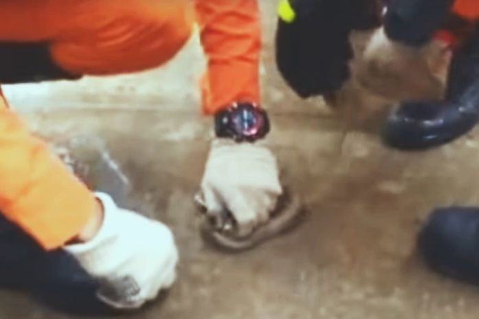 Bombeiros capturam cobra escondida em motocicleta no Centro de Arapiraca