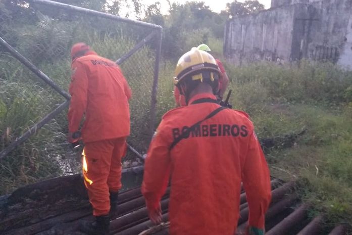Corpo em avançado estado de decomposição é encontrado em córrego