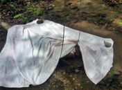 Criança morre após receber descarga elétrica em Boca da Mata