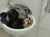 Homem realiza protesto lavando roupas na sede de concessionária em União dos Palmares
