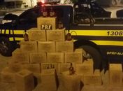 Durante operação, PRF apreende 300 garrafas de conhaque falsificado 