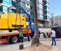 Trailer é removido na Ponta Verde após denúncias de som alto durante a madrugada