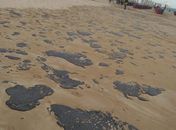 Manchas de óleo se espalharam por praias da costa nordestina.