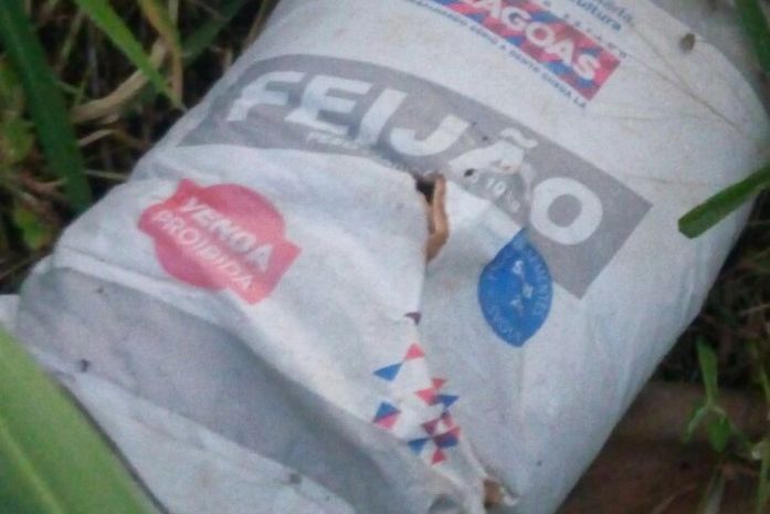 Sementes encontradas em terreno