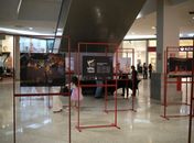 ‘Ufal Além dos Muros’: exposição leva universidade ao encontro da sociedade