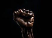 Deputado, Rafael Brito, li  pelas redes sociais, da deputada  Taliria Petrone que Vossa Excelência  vai participar do (GT) de Educação Antirracista. É vero?!