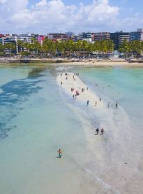 Praias de águas mornas e cristalinas, gastronomia, receptividade da população e a rede de hotelaria motivam a procura pelo destino Maceió.