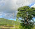 MPF cobra soluções urgentes para rede elétrica em aldeia indígena de Palmeira dos Índios