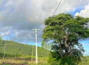 MPF cobra soluções urgentes para rede elétrica em aldeia indígena de Palmeira dos Índios