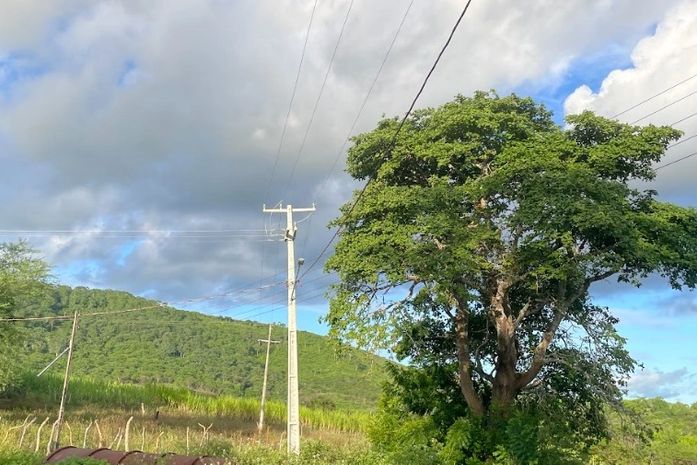 MPF cobra soluções urgentes para rede elétrica em aldeia indígena de Palmeira dos Índios