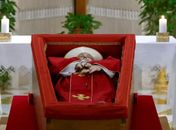 Papa Francisco: velório aberto começa amanhã, funeral será no sábado