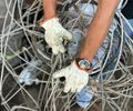 Operação apreende arma e cabos de rede elétrica em ferro-velho de Maceió 
