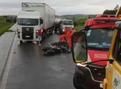 Motociclista fica ferido após colidir contra cavalo na BR-104, em Murici