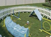 Setor imobiliário aposta em espaços exclusivos para os animais de estimação 