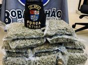 Polícia Militar apreende 21 armas de fogo e 24 Kg de drogas em Alagoas
