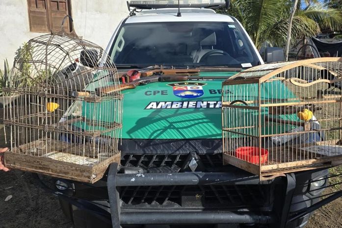 Armas são apreendidas e animais silvestres resgatados pela PM durante fiscalização no interior