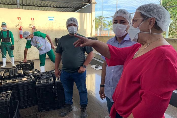 Tereza Nelma garante investimentos para agricultura familiar em Piaçabuçu