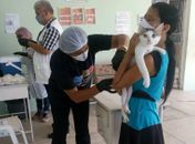 Segunda etapa da vacinação contra raiva imuniza cães e gatos no próximo sábado; confira locais