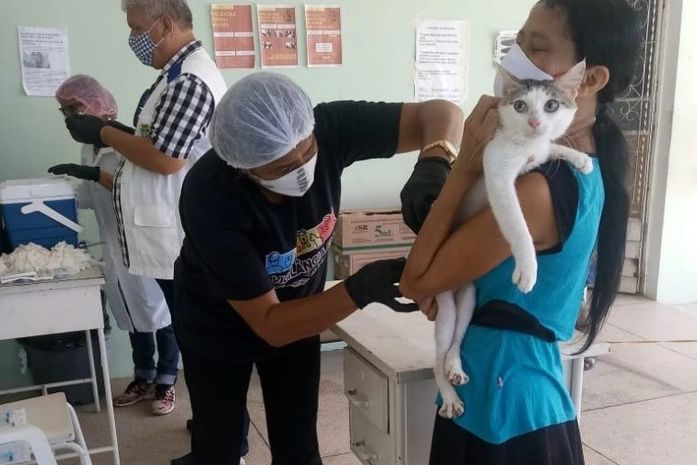 Segunda etapa da vacinação contra raiva imuniza cães e gatos no próximo sábado; confira locais